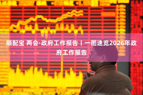 顺配宝 两会·政府工作报告丨一图速览2026年政府工作报告