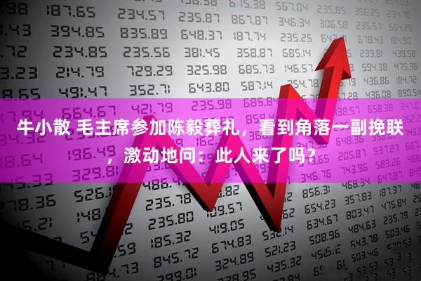牛小散 毛主席参加陈毅葬礼，看到角落一副挽联，激动地问：此人来了吗？