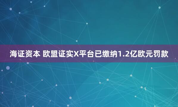 海证资本 欧盟证实X平台已缴纳1.2亿欧元罚款