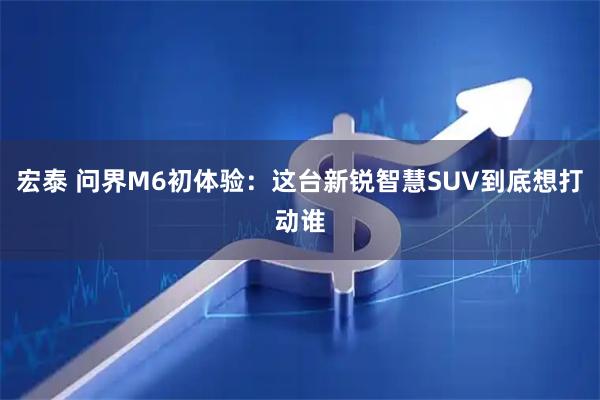 宏泰 问界M6初体验：这台新锐智慧SUV到底想打动谁