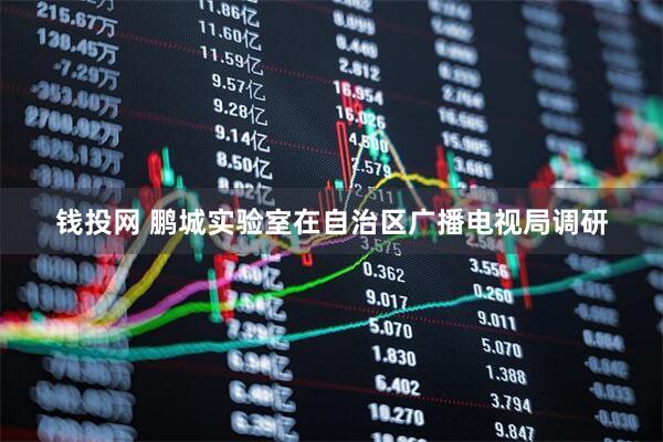钱投网 鹏城实验室在自治区广播电视局调研