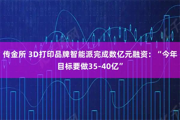 传金所 3D打印品牌智能派完成数亿元融资：“今年目标要做35-40亿”